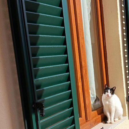 モンティチャーノ Casa Di Zioヴィラ エクステリア 写真