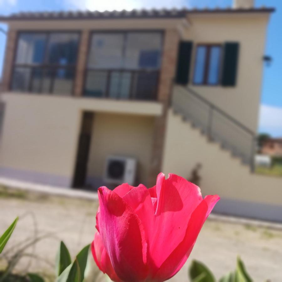 モンティチャーノ Casa Di Zioヴィラ エクステリア 写真