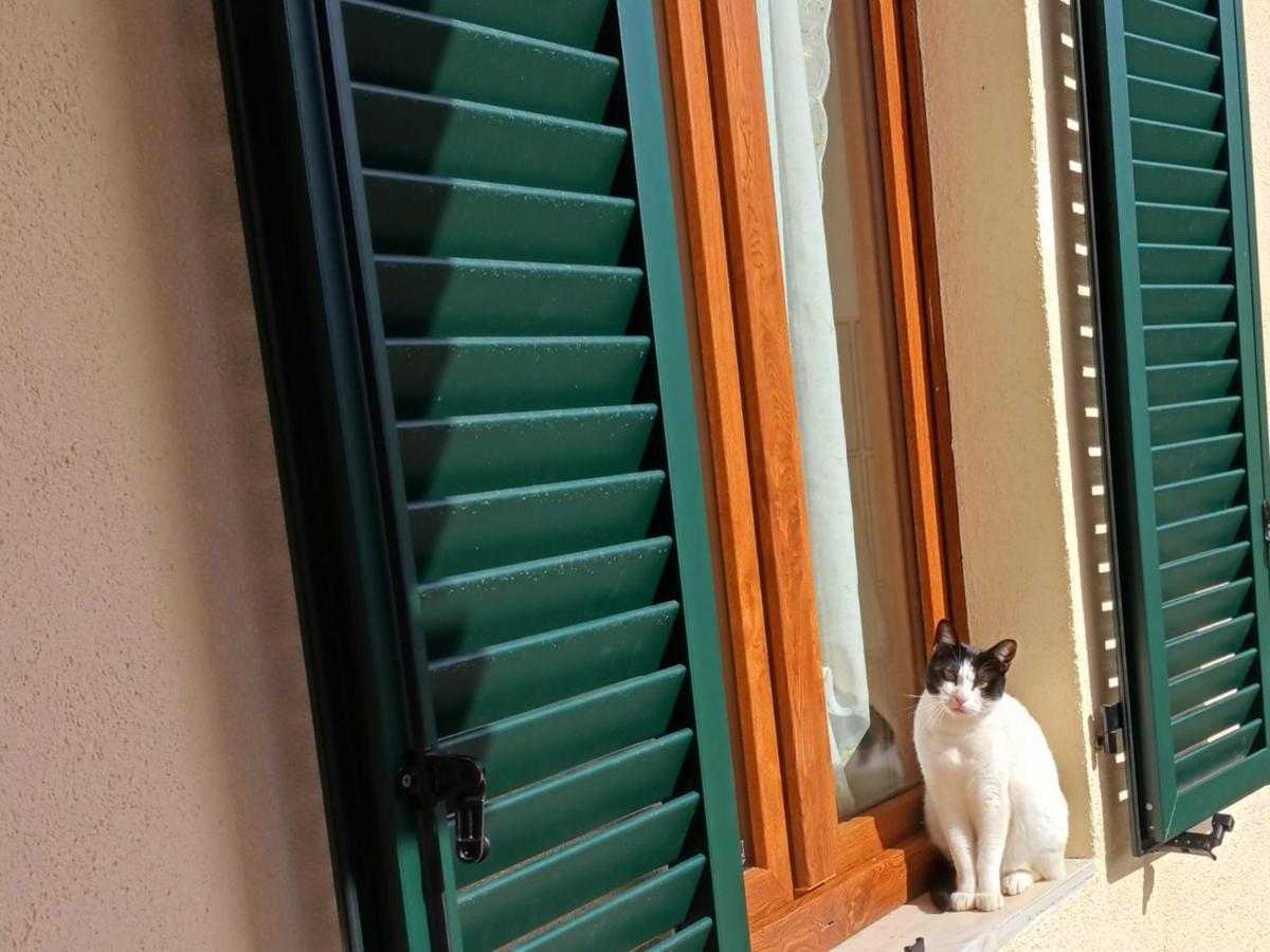 モンティチャーノ Casa Di Zioヴィラ エクステリア 写真